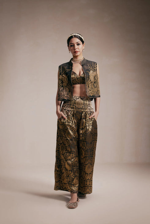 Gold Embroidered Jacket & Pants Co-ord